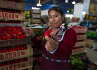 Llega a Escobar la Fiesta de la Frutilla