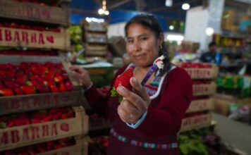 Llega a Escobar la Fiesta de la Frutilla