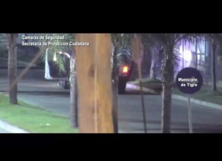 Detuvieron a dos personas armadas con drogas y pedidos de captura en Troncos del Talar