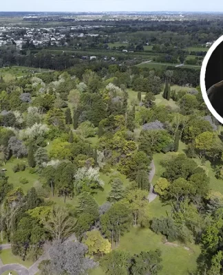 El Concejo Deliberante de Escobar aprobó un reglamento para la protección del arbolado público