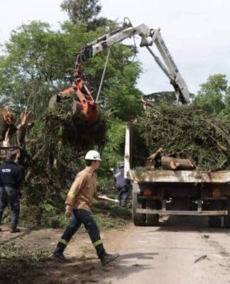 Cronograma del sistema municipal de recolección de ramas para esta semana