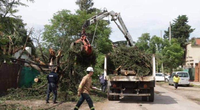 Cronograma del sistema municipal de recolección de ramas para esta semana