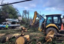 Escobar: Más de 1500 agentes municipales trabajan en las calles tras el temporal
