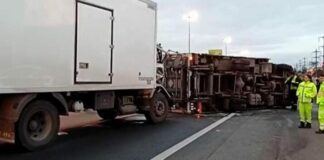 Choque y vuelco de dos camiones en Panamericana: un herido y más de 10 kilómetros de demoras a la altura de la Ruta 202