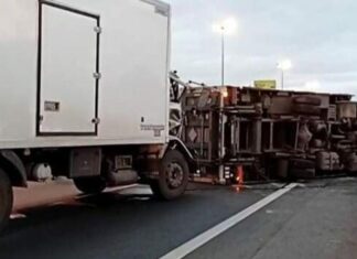 Choque y vuelco de dos camiones en Panamericana: un herido y más de 10 kilómetros de demoras a la altura de la Ruta 202
