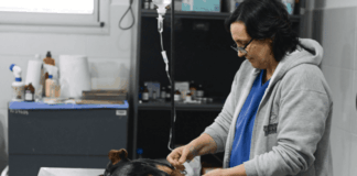 Zoonosis Escobar celebra nueve años con un hospital totalmente renovado