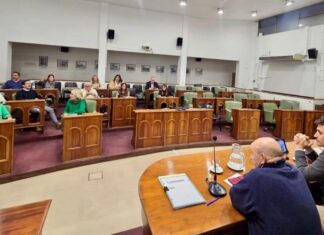 Cayó por falta de quórum la sesión para tratar el proyecto inmobiliario en la barranca de Martínez