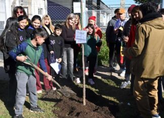 Estudiantes, docentes y familias, protagonistas de una nueva jornada del programa “Todas las Infancias Tenemos Derechos 2.0” del Municipio de Tigre