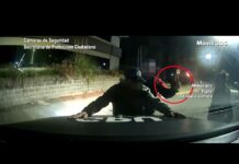 Tigre: En un trabajo articulado con la Policía bonaerense, el COT detuvo a un hombre armado en plena madrugada
