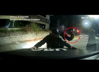 Tigre: En un trabajo articulado con la Policía bonaerense, el COT detuvo a un hombre armado en plena madrugada