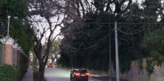 San Isidro: Luego de más de cuatro años, se habilitó Treinta y Tres Orientales entre Libertador y Lasalle