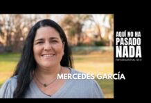 “Mechi” García alertó sobre las excepciones urbanísticas en Tigre: “Se está construyendo sin planificación”