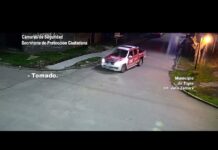 Tigre: Ocasionó destrozos en la vía pública, fue detectado por las cámaras y aprehendido por el COT