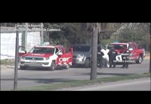Detuvieron a Callejero Fino en Tigre: circulaba sin patente y encontraron una Glock .40 en la camioneta