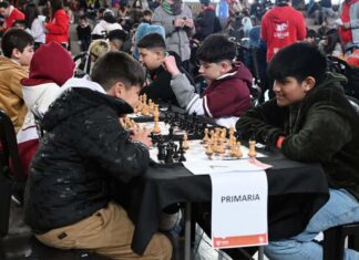 El Honorable Concejo Deliberante aprobó por unanimidad que Tigre sea reconocida como Ciudad del Ajedrez