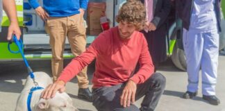 San Fernando prohibió a los criaderos de mascotas y la venta de animales en comercios