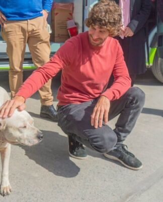 San Fernando prohibió a los criaderos de mascotas y la venta de animales en comercios