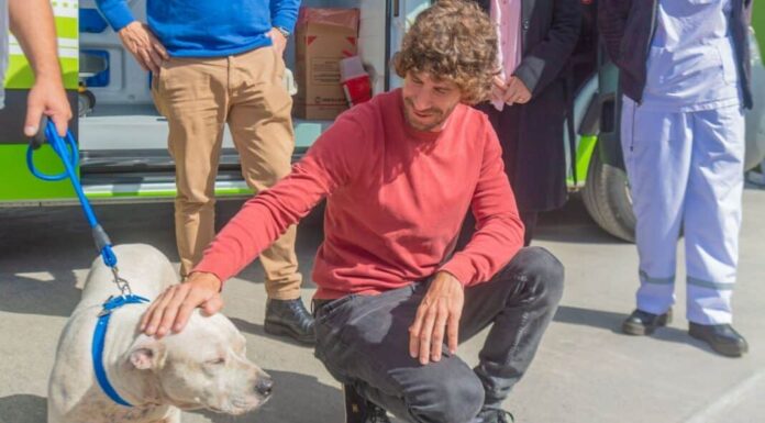 San Fernando prohibió a los criaderos de mascotas y la venta de animales en comercios