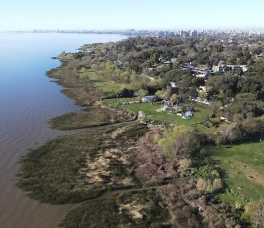 La otra cara del nuevo paseo costero de San Isidro: cuestionamientos ambientales a las obras de Ramón Lanús