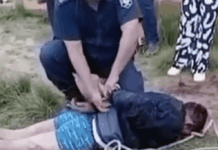 Moreno: un jubilado de 81 años mató a un presunto ladrón durante un violento asalto al comercio de su nieto